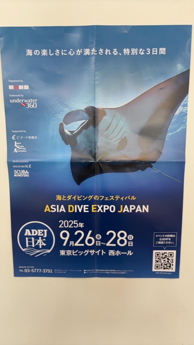 フェスティバル