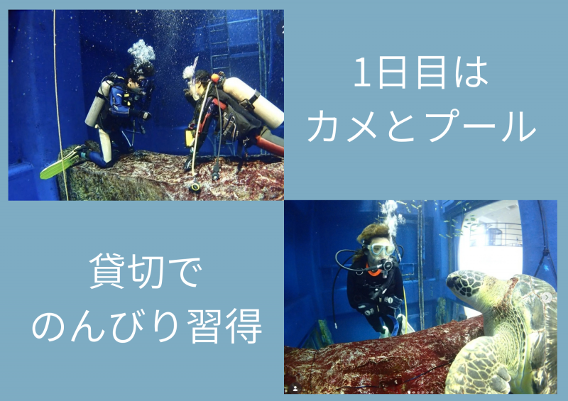 １日目はプール
