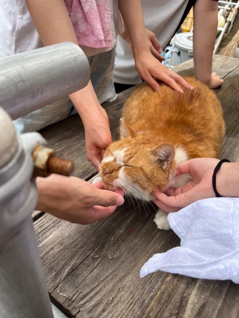 学生に愛されるぶー太郎！！