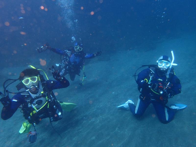 熱海ダイビングー！