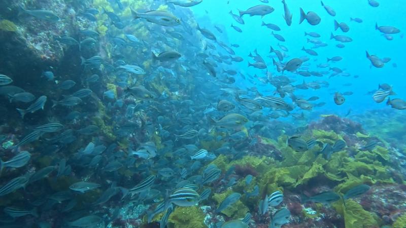 生物が沢山！！