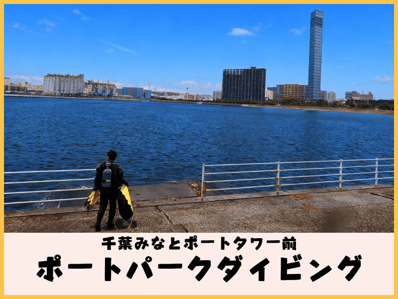 千葉みなとポートパーク清掃活動